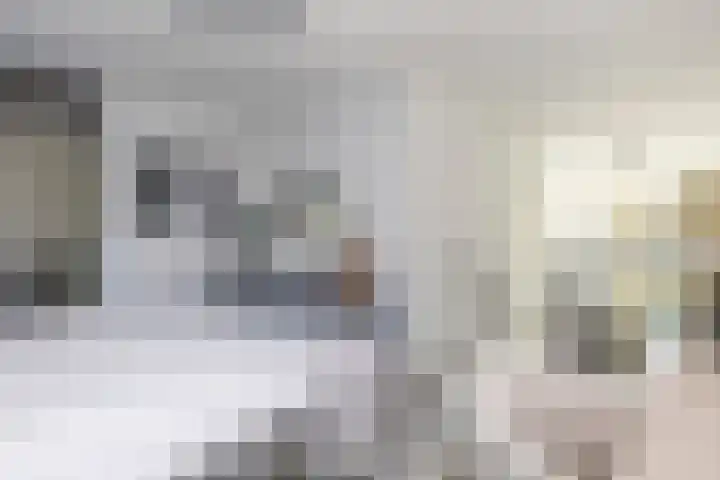 Carel Willinkstraat 12 Utrecht thumbnail 5