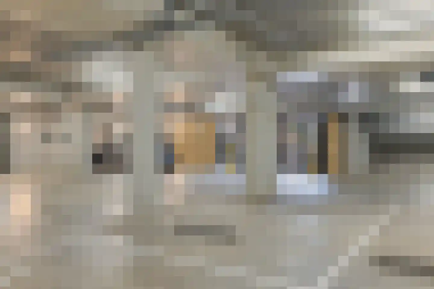 Carel Willinkstraat 178 Utrecht thumbnail 39