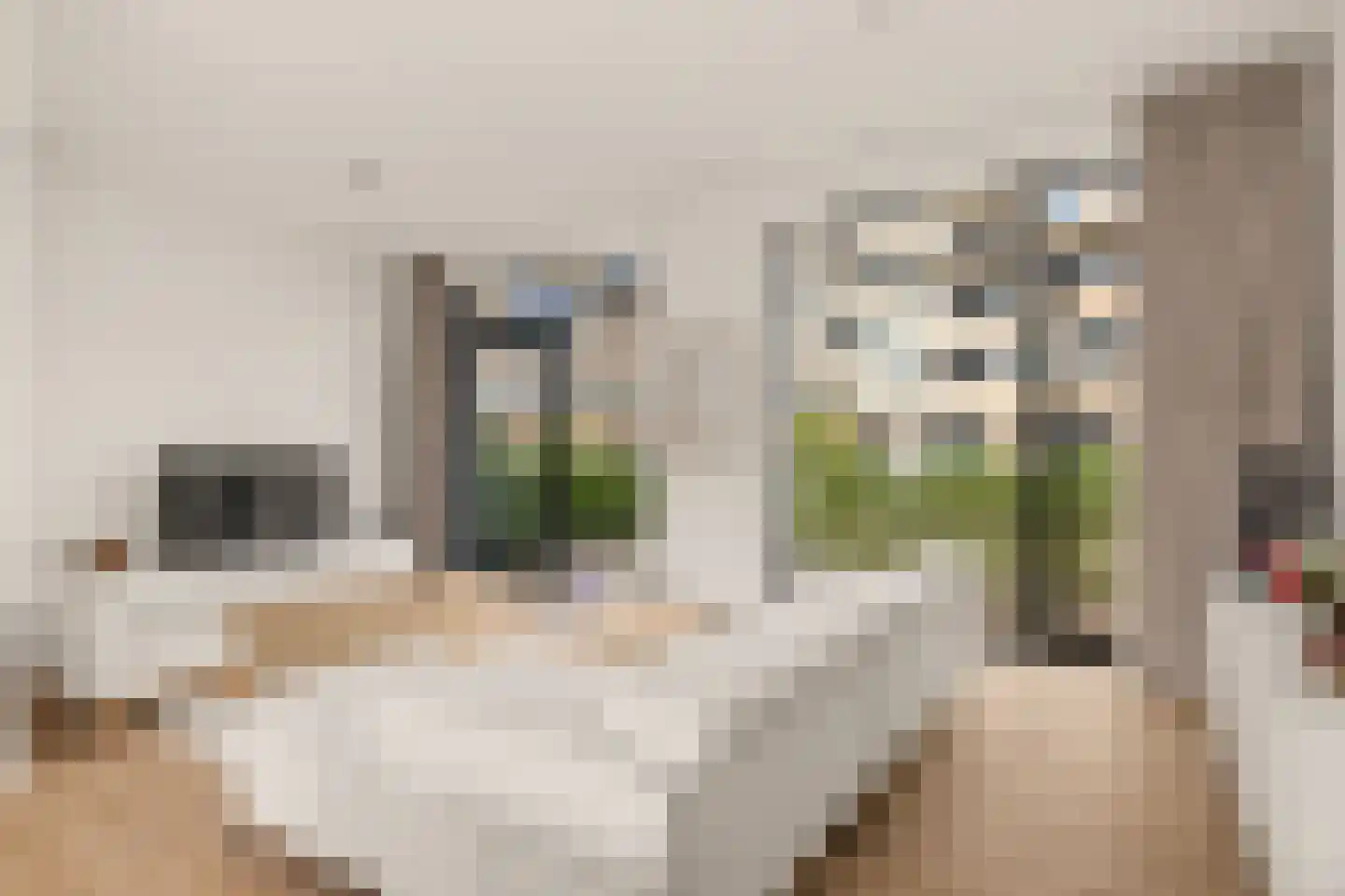 Carel Willinkstraat 178 Utrecht thumbnail 4