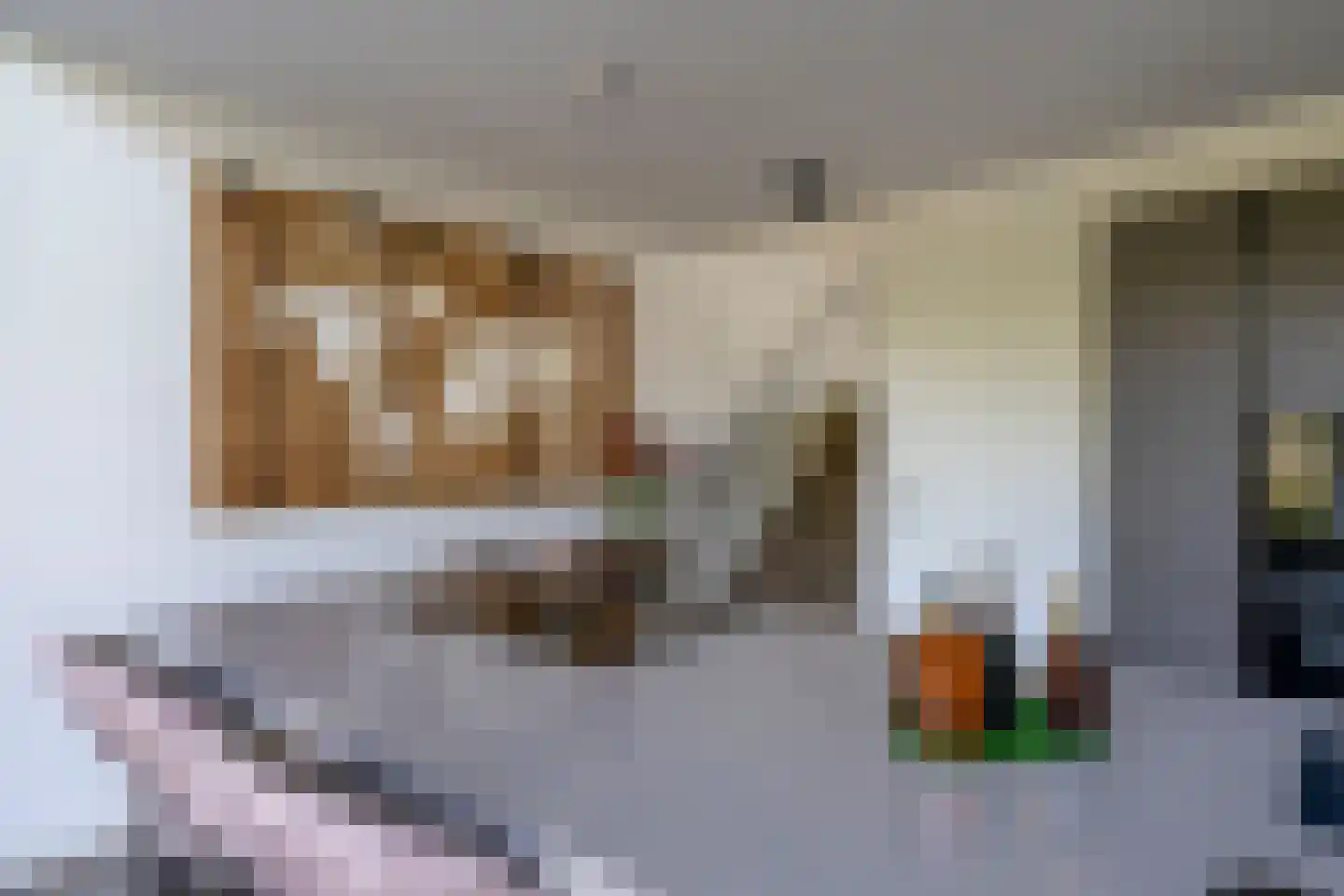 Carel Willinkstraat 18 Utrecht thumbnail 10