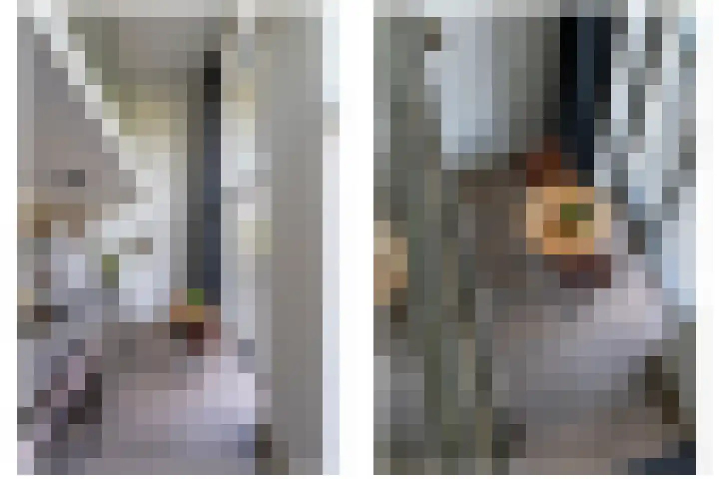 Carel Willinkstraat 18 Utrecht thumbnail 11