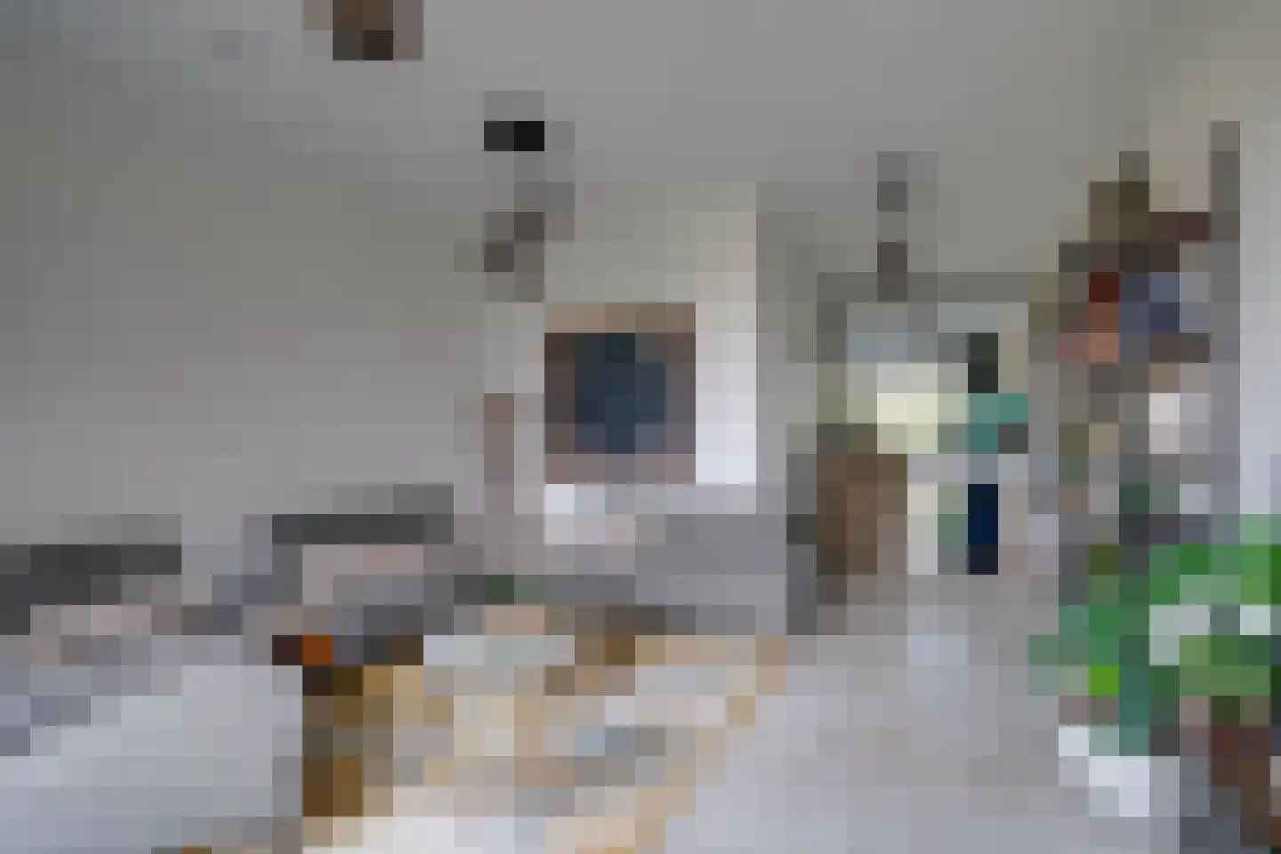 Carel Willinkstraat 18 Utrecht thumbnail 16