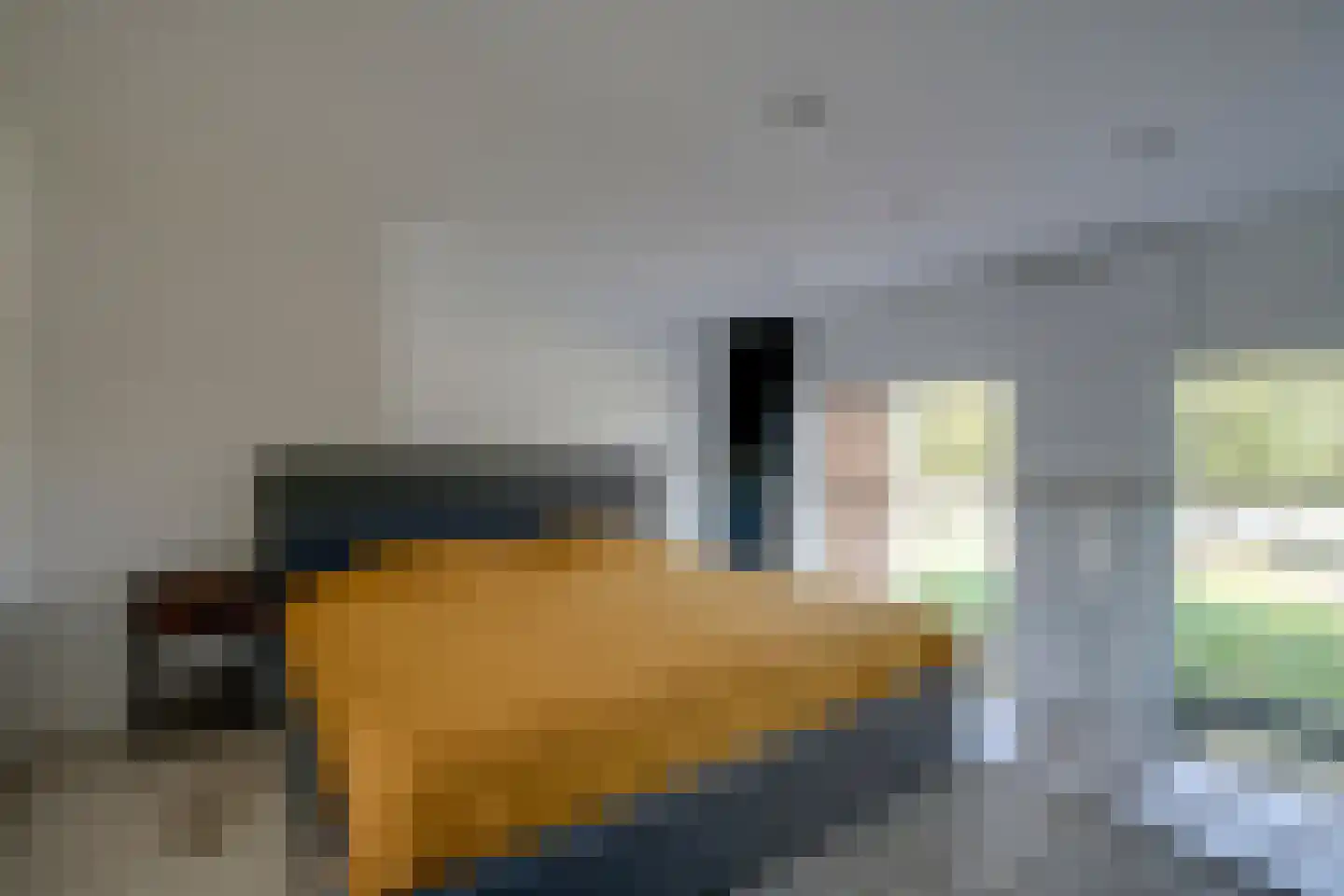 Carel Willinkstraat 18 Utrecht thumbnail 29