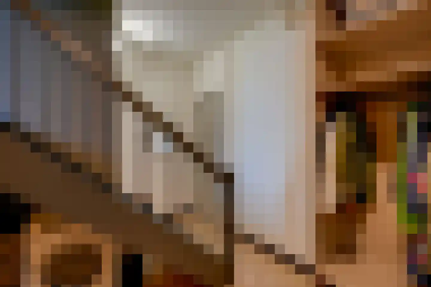 Carel Willinkstraat 18 Utrecht thumbnail 38
