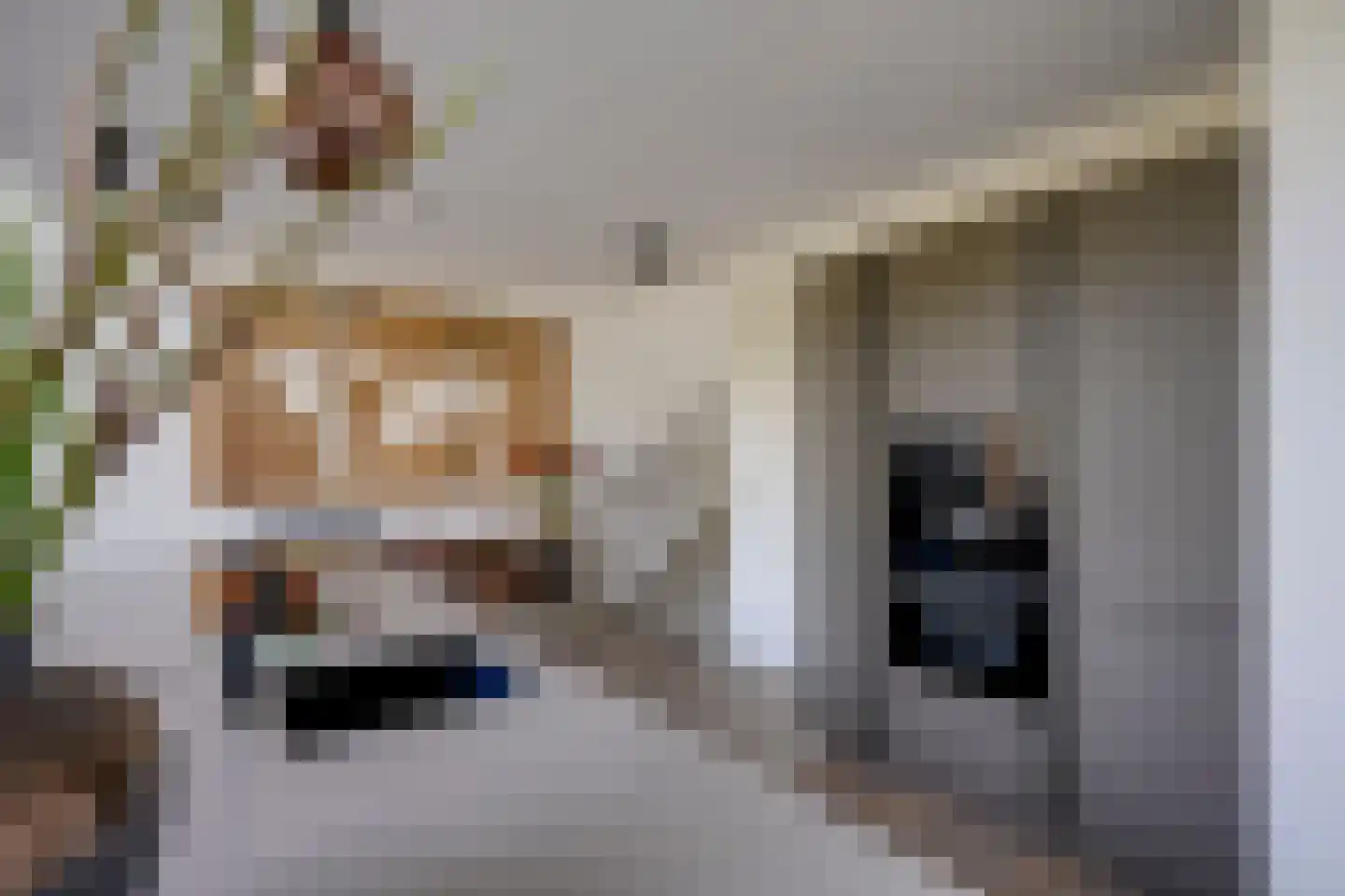 Carel Willinkstraat 18 Utrecht thumbnail 9