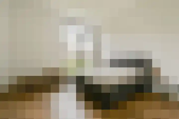 Carel Willinkstraat 32 Utrecht thumbnail 21