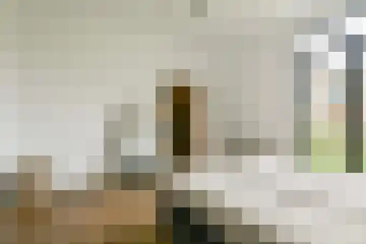 Carel Willinkstraat 32 Utrecht thumbnail 22