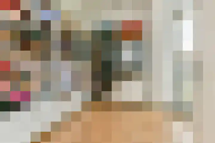 Carel Willinkstraat 32 Utrecht thumbnail 28