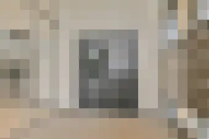 Carel Willinkstraat 32 Utrecht thumbnail 31
