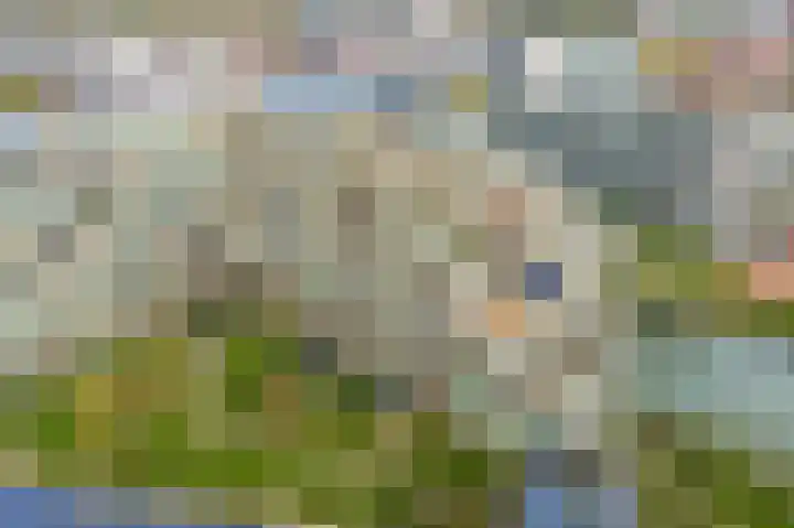 Carel Willinkstraat 32 Utrecht thumbnail 39