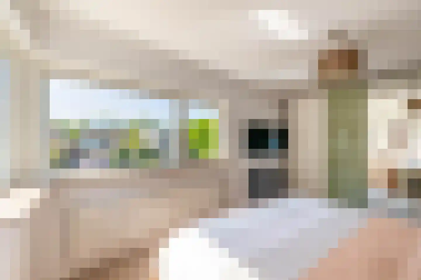 Carel Willinkstraat 33 Eindhoven thumbnail 23