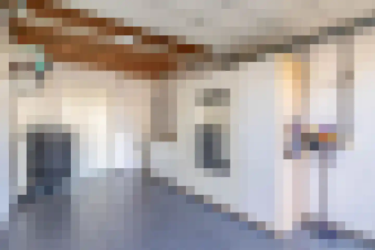 Carel Willinkstraat 33 Eindhoven thumbnail 32