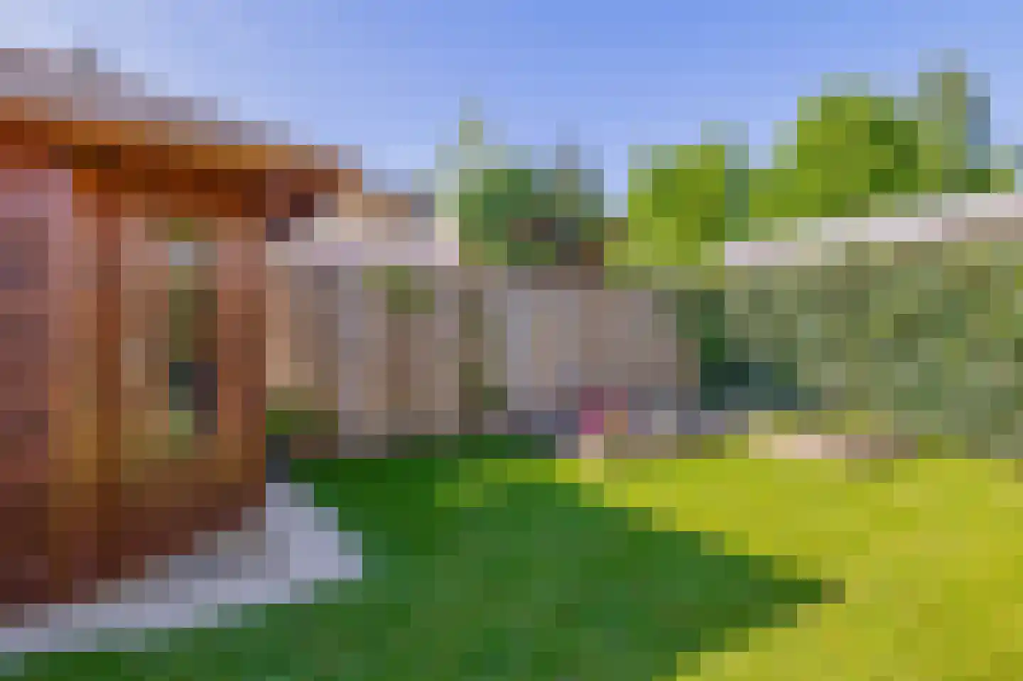 Carel Willinkstraat 33 Eindhoven thumbnail 36