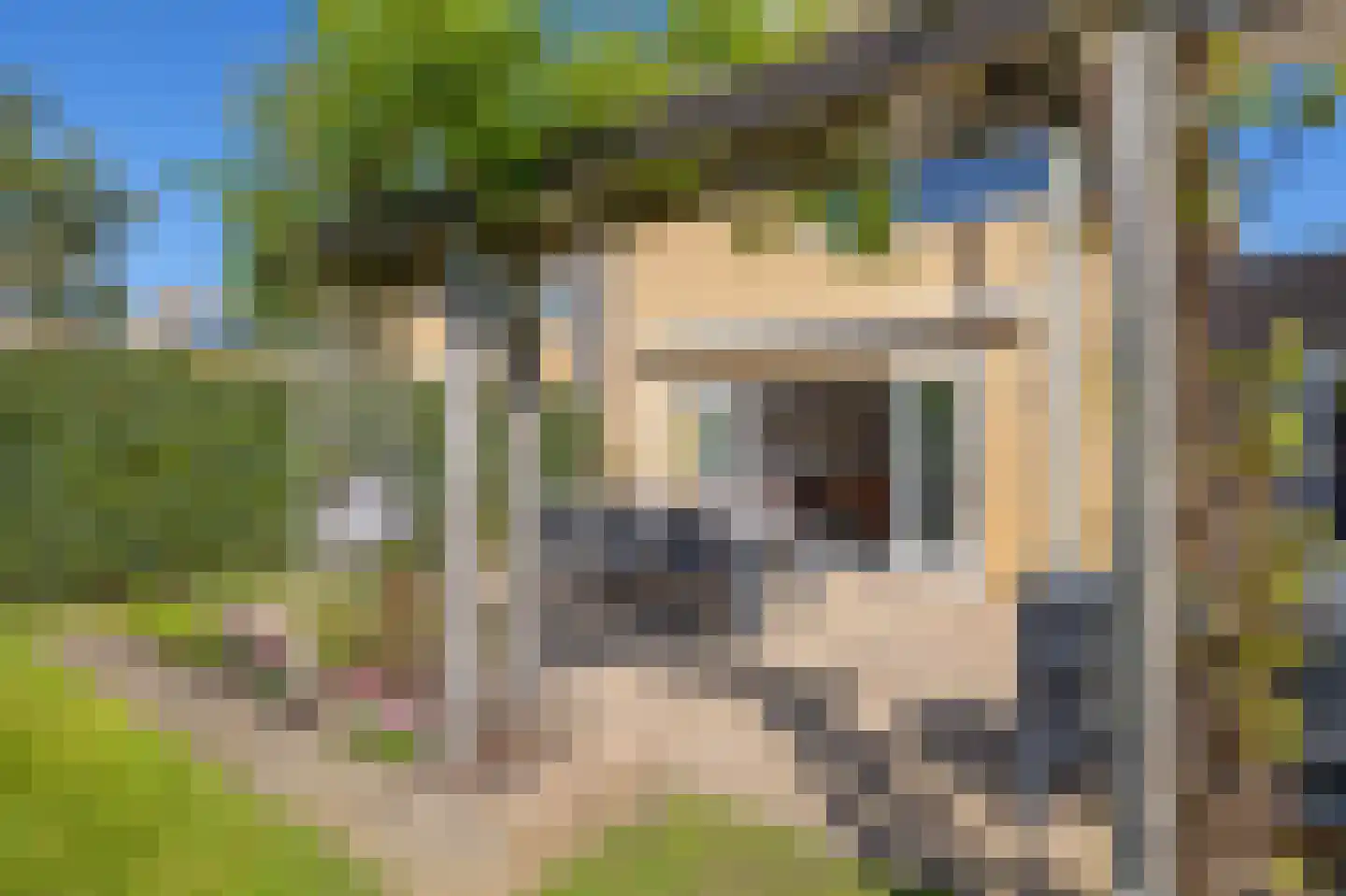 Carel Willinkstraat 33 Eindhoven thumbnail 39