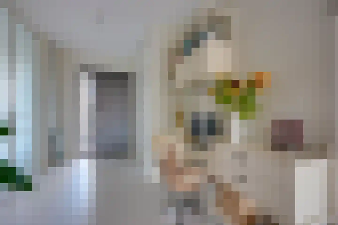 Carel Willinkstraat 38 Utrecht thumbnail 17