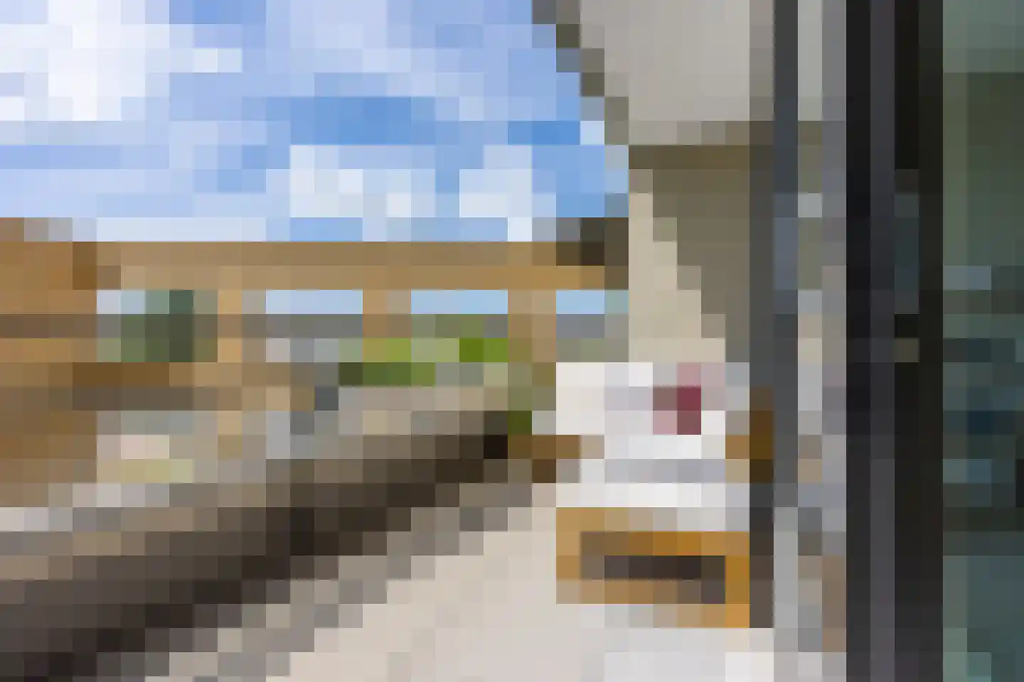 Carel Willinkstraat 38 Utrecht thumbnail 32