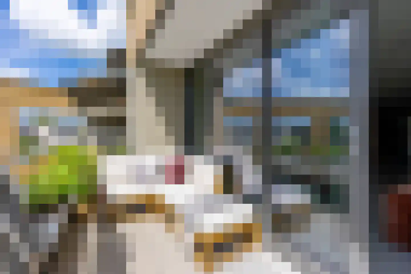 Carel Willinkstraat 38 Utrecht thumbnail 33