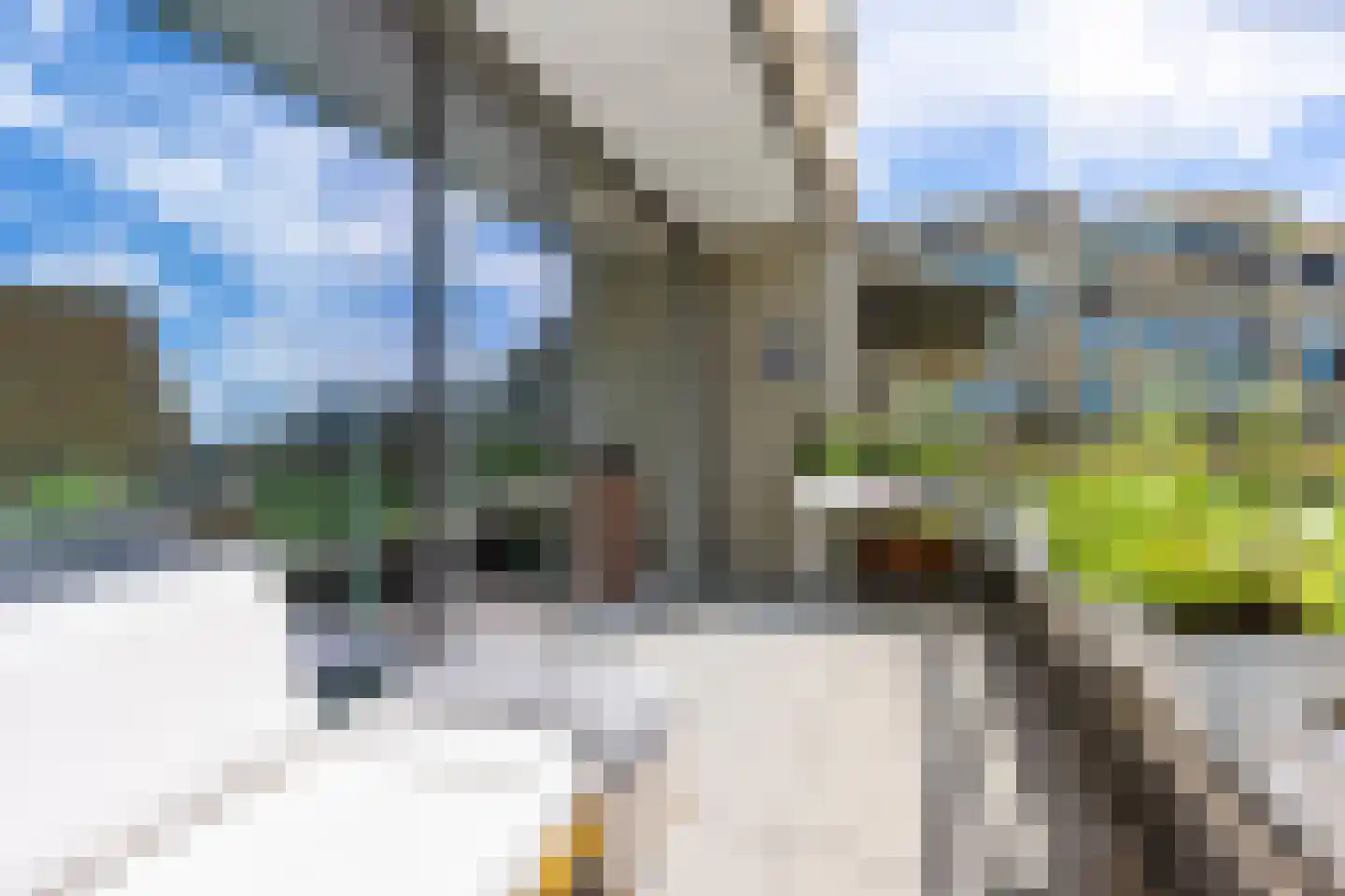 Carel Willinkstraat 38 Utrecht thumbnail 34