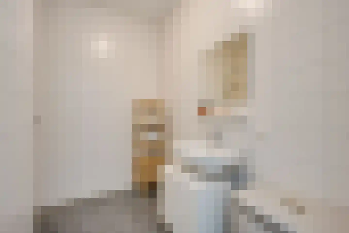 Carel Willinkstraat 38 Utrecht thumbnail 37