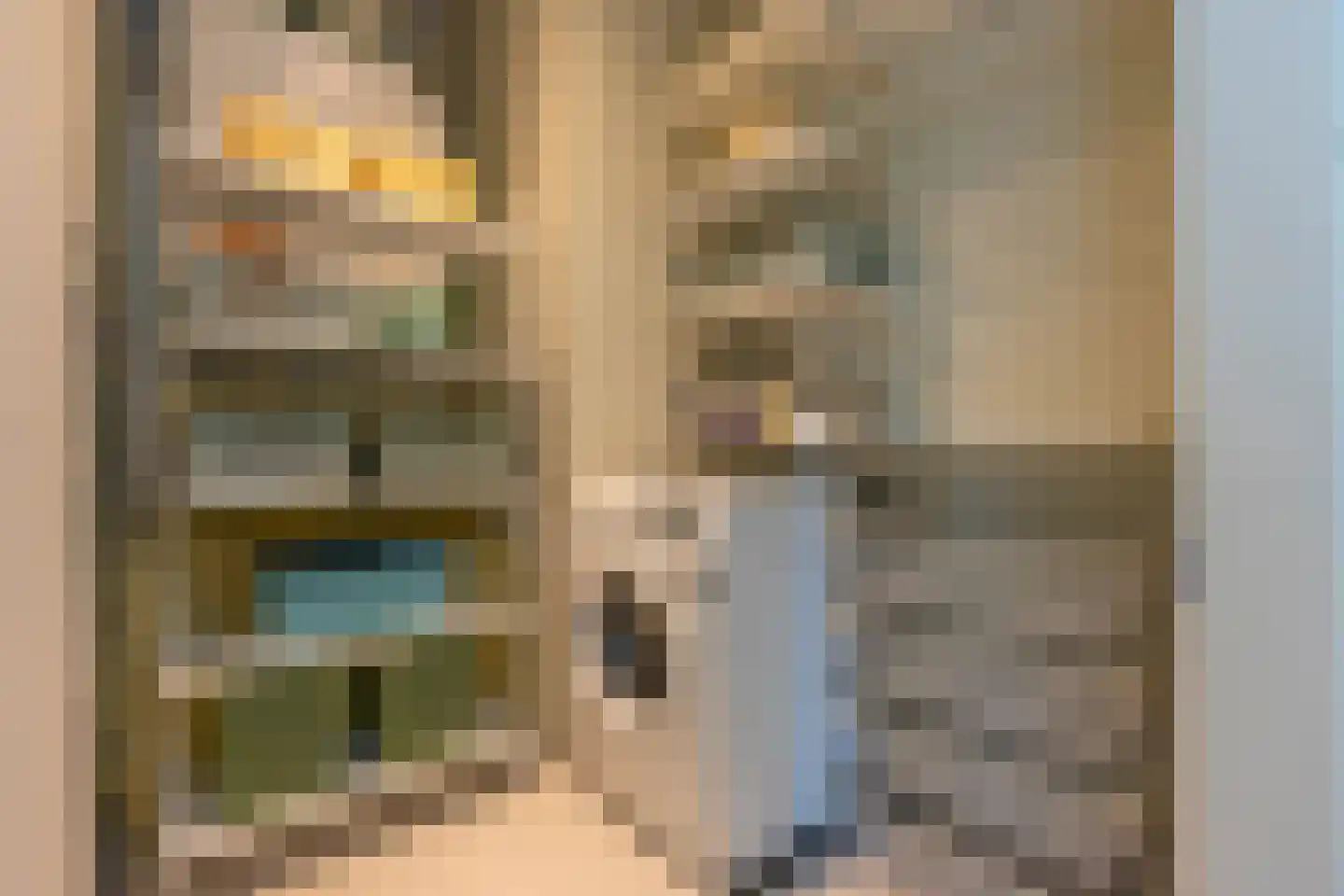 Carel Willinkstraat 38 Utrecht thumbnail 41