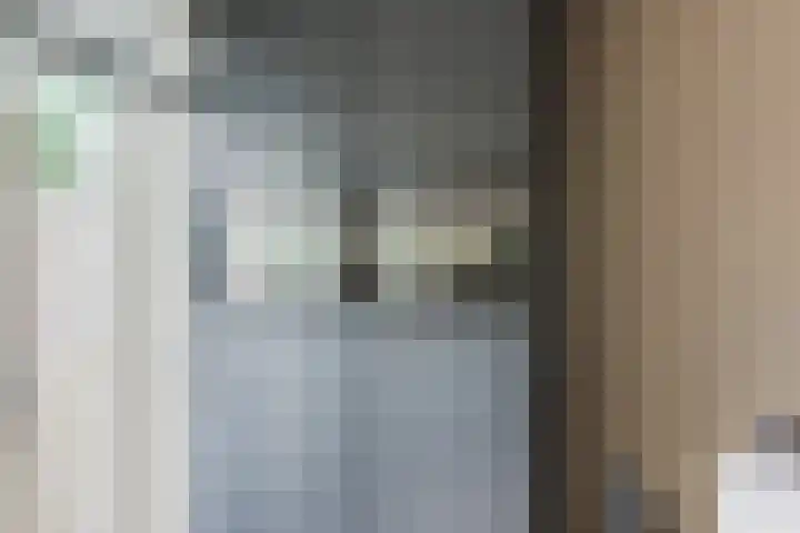 Carel Willinkstraat 4 Raamsdonksveer thumbnail 20