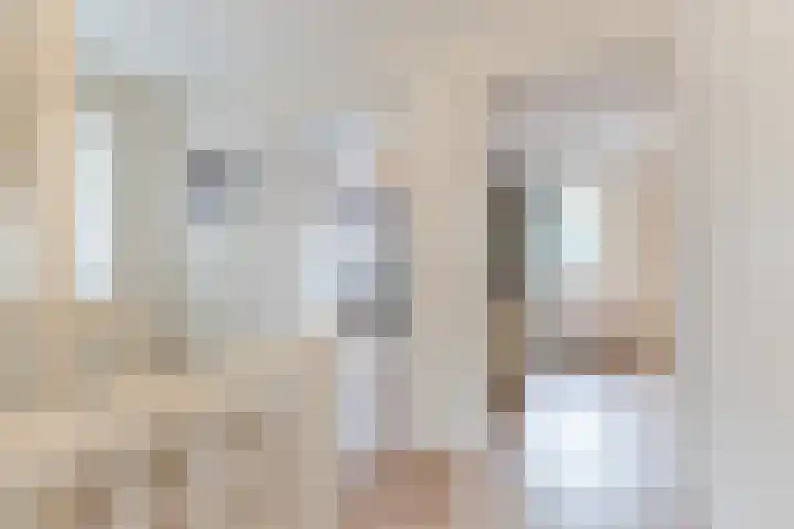Carel Willinkstraat 4 Raamsdonksveer thumbnail 34