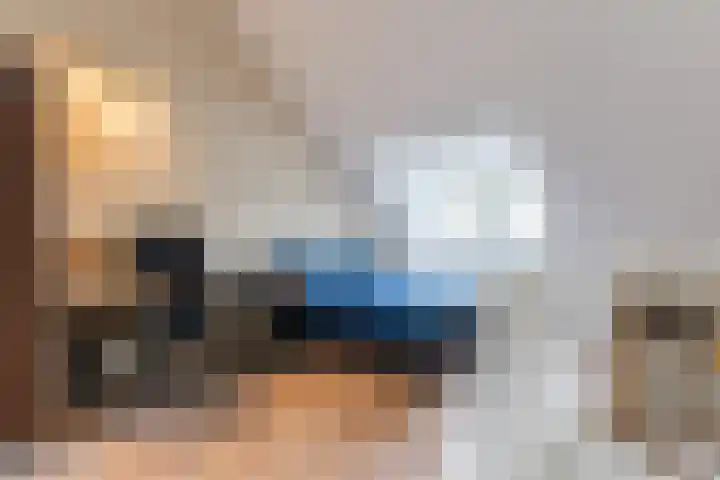 Carel Willinkstraat 4 Raamsdonksveer thumbnail 36