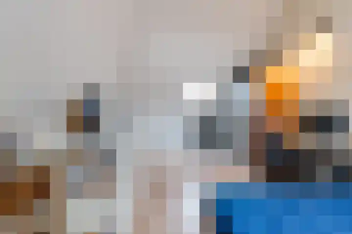 Carel Willinkstraat 4 Raamsdonksveer thumbnail 38