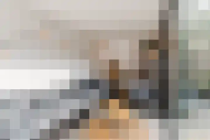 Carel Willinkstraat 4 Raamsdonksveer thumbnail 39