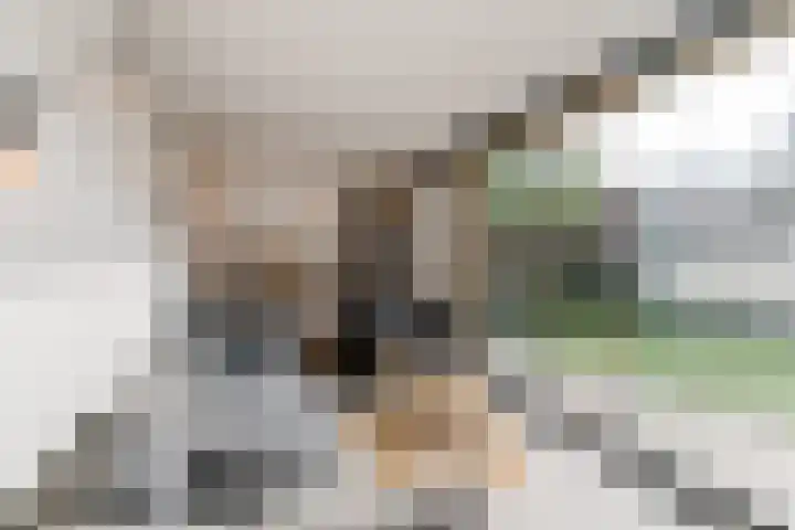Carel Willinkstraat 4 Raamsdonksveer thumbnail 40