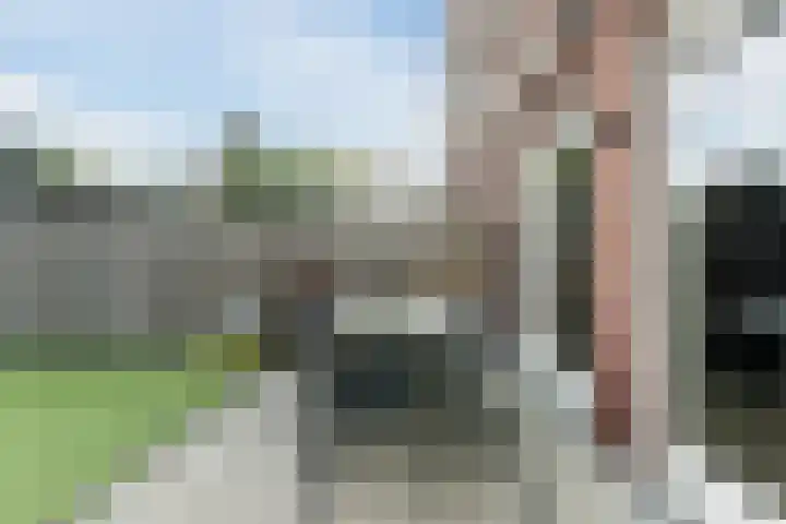Carel Willinkstraat 4 Raamsdonksveer thumbnail 41