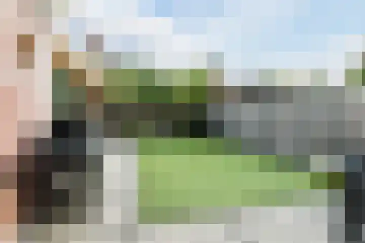 Carel Willinkstraat 4 Raamsdonksveer thumbnail 42