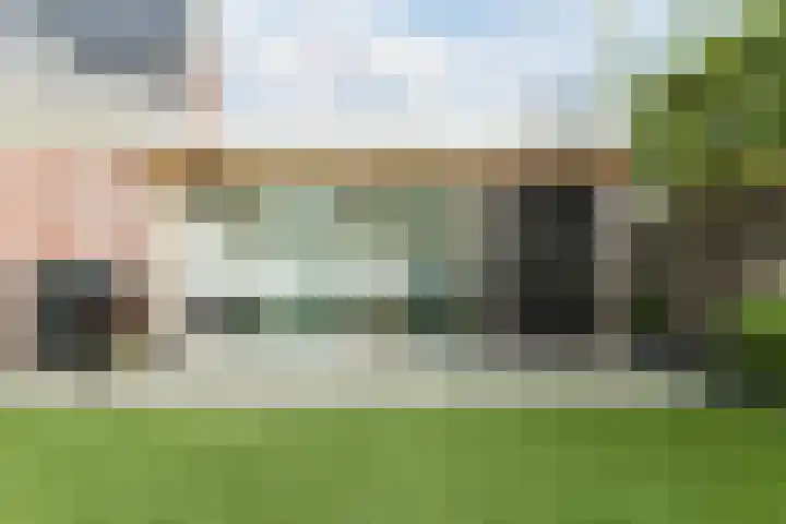 Carel Willinkstraat 4 Raamsdonksveer thumbnail 44