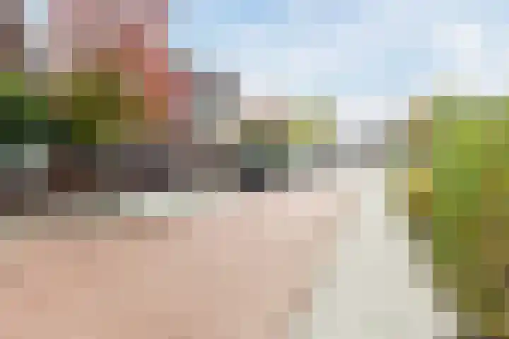 Carel Willinkstraat 4 Raamsdonksveer thumbnail 46