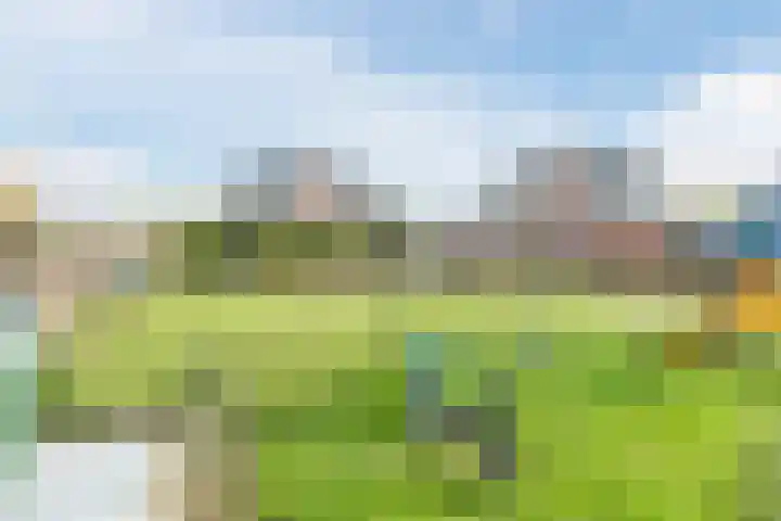 Carel Willinkstraat 4 Raamsdonksveer thumbnail 47