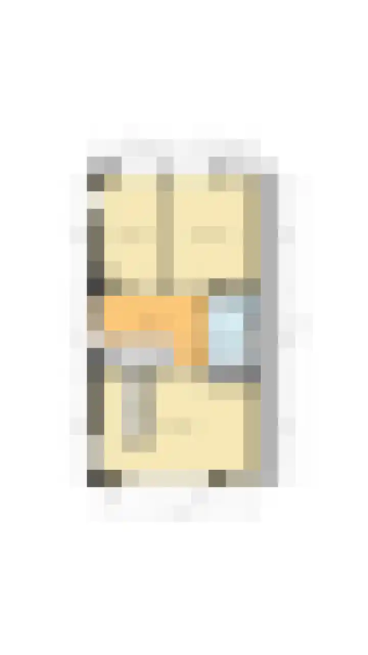 Carel Willinkstraat 4 Raamsdonksveer thumbnail 50