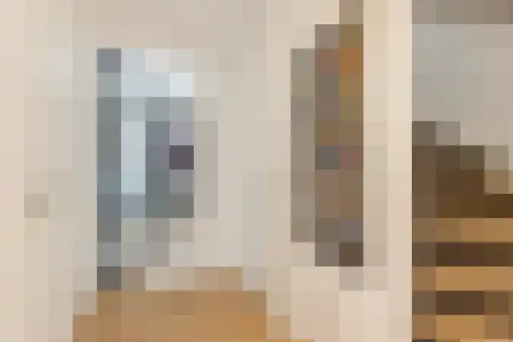 Carel Willinkstraat 4 Raamsdonksveer thumbnail 6