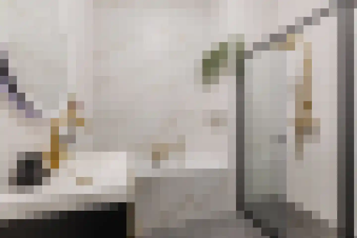 Carel Willinkstraat 4 Utrecht thumbnail 24