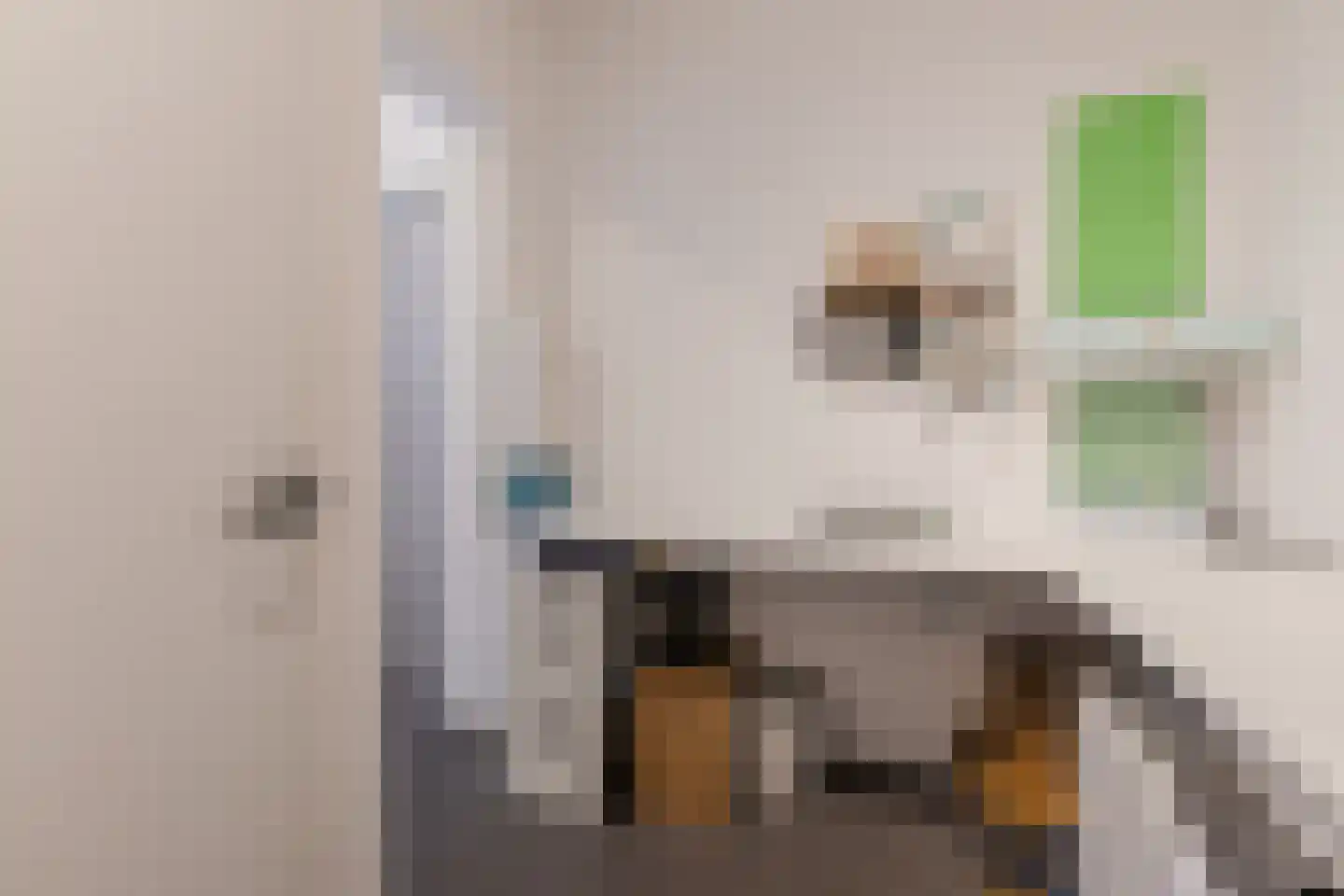 Carel Willinkstraat 4 Utrecht thumbnail 38