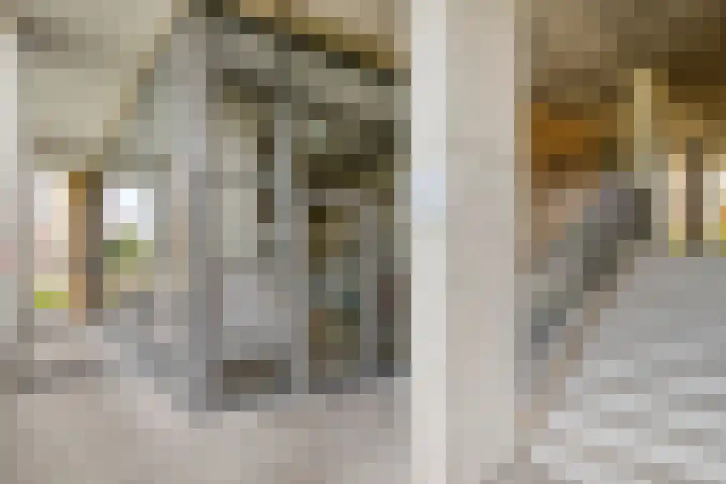 Carel Willinkstraat 42 Utrecht thumbnail 10
