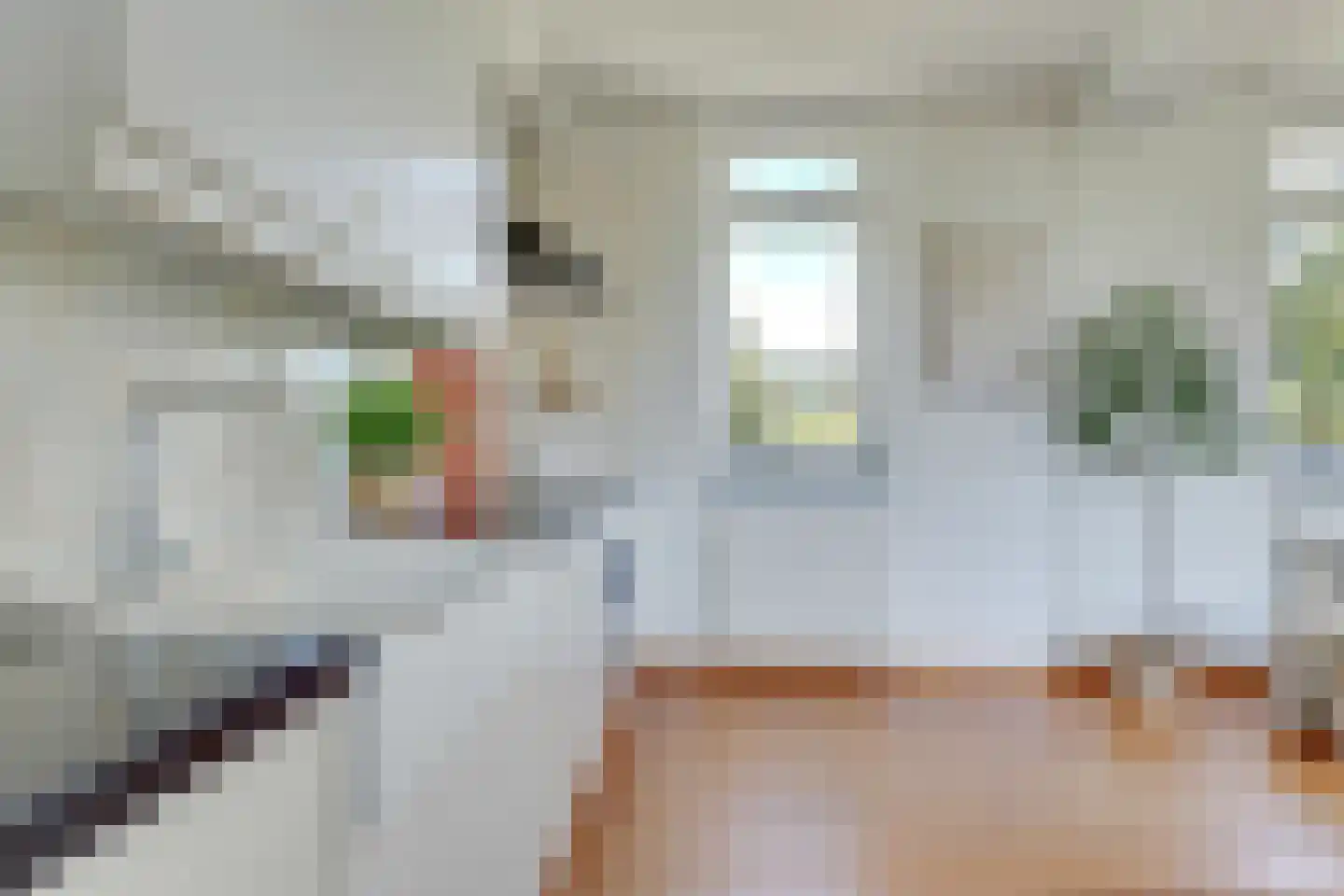 Carel Willinkstraat 43 Utrecht thumbnail 21