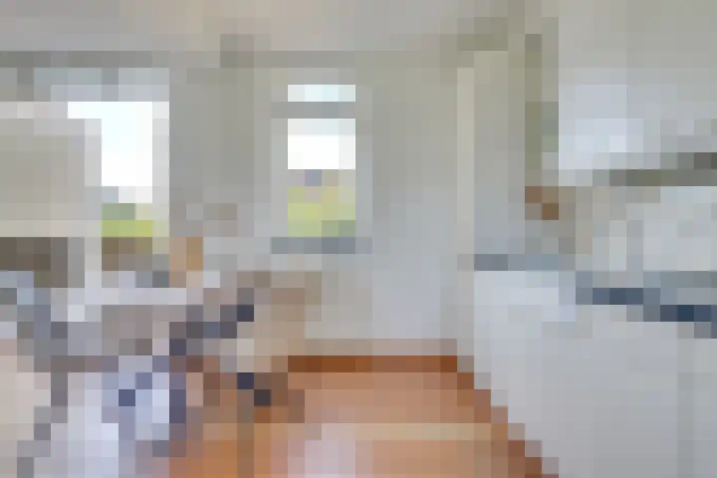 Carel Willinkstraat 43 Utrecht thumbnail 23