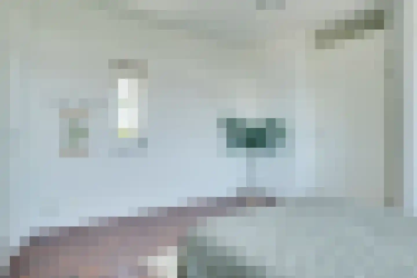Carel Willinkstraat 43 Utrecht thumbnail 30