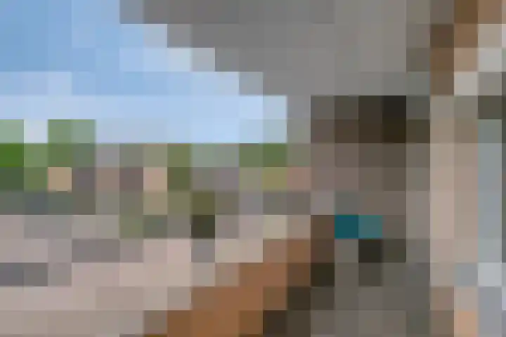 Carel Willinkstraat 64 Eindhoven thumbnail 25