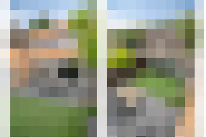 Carel Willinkstraat 64 Eindhoven thumbnail 31
