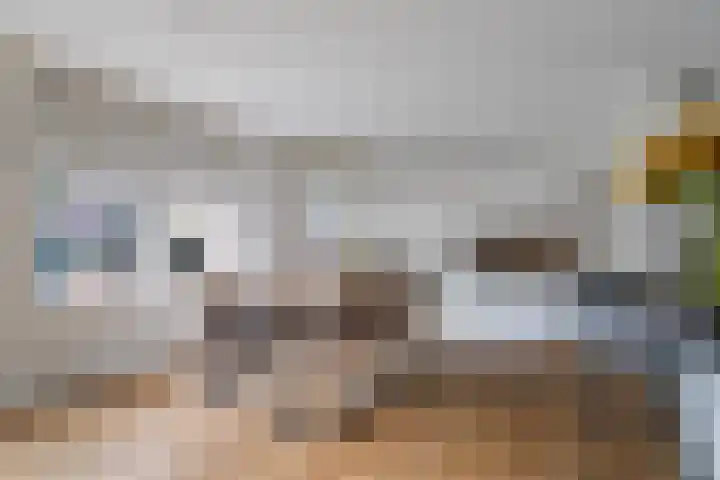 Carel Willinkstraat 64 Eindhoven thumbnail 8