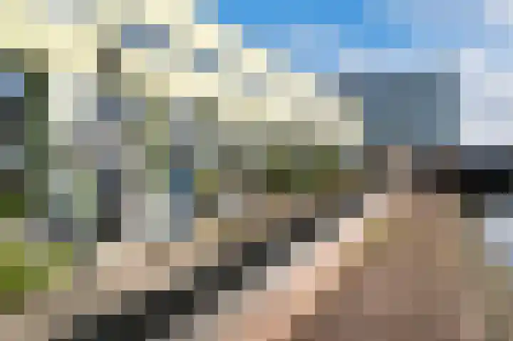 Cargadoorskade 24 Rotterdam thumbnail 37