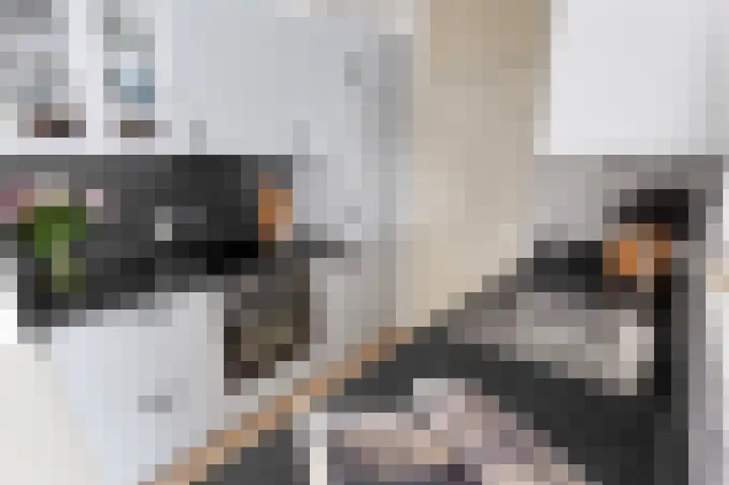 Cargadoorskade 47 Rotterdam thumbnail 15