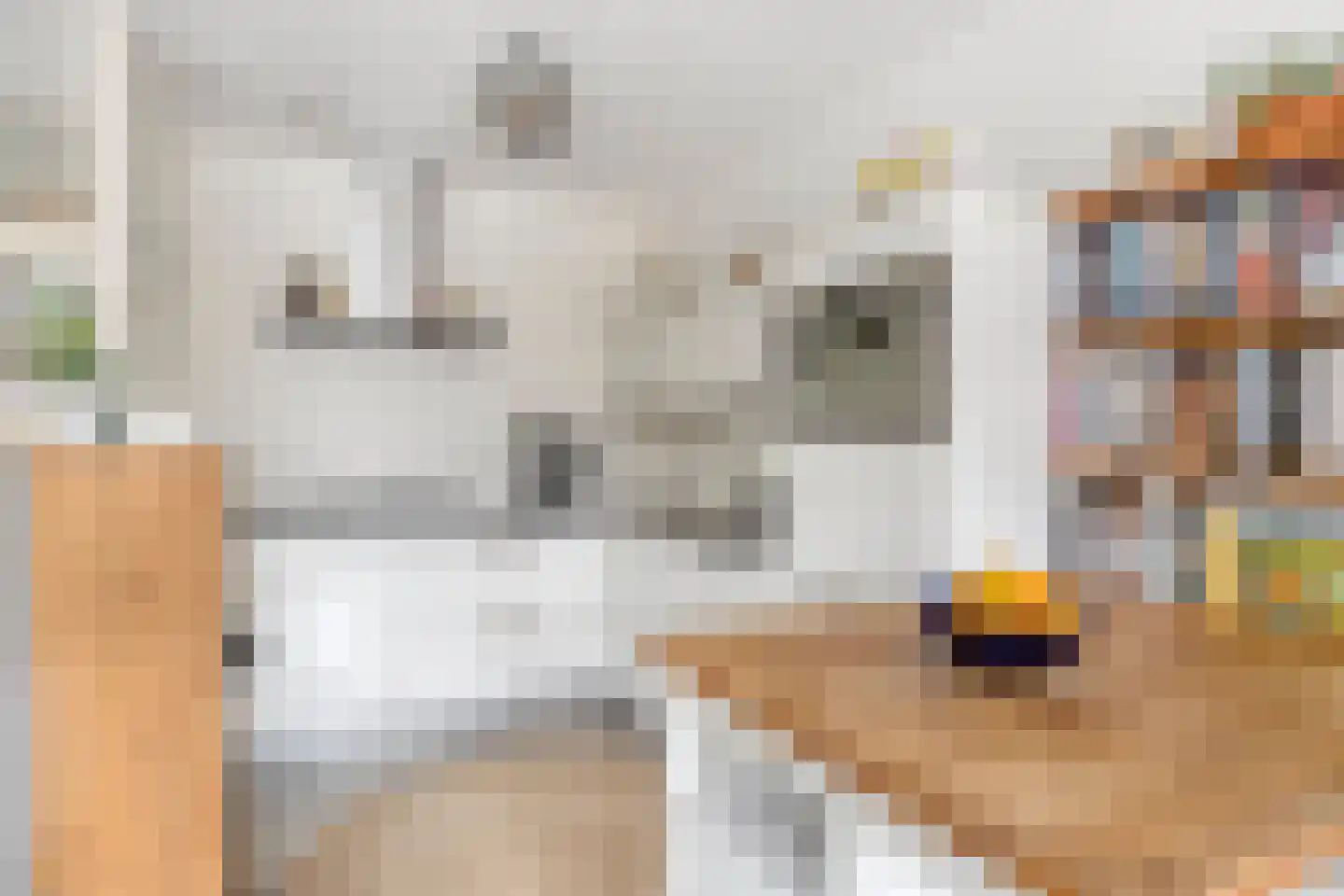 Cargadoorskade 54 Rotterdam thumbnail 12