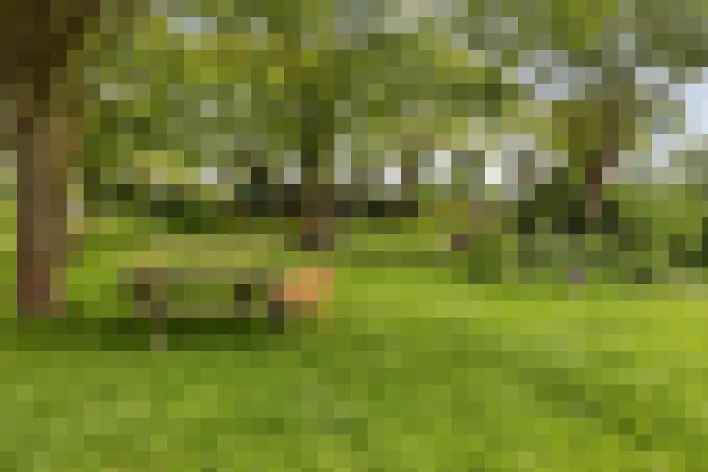Cargadoorskade 54 Rotterdam thumbnail 20